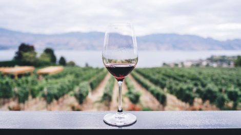Cum să alegi vinul rosé perfect pentru vară