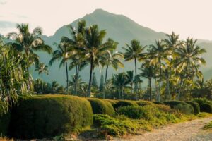 Photo Tropical paradise