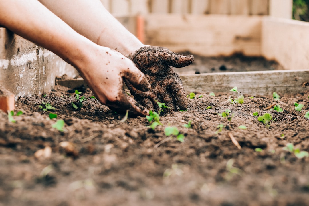 Photo Gardening