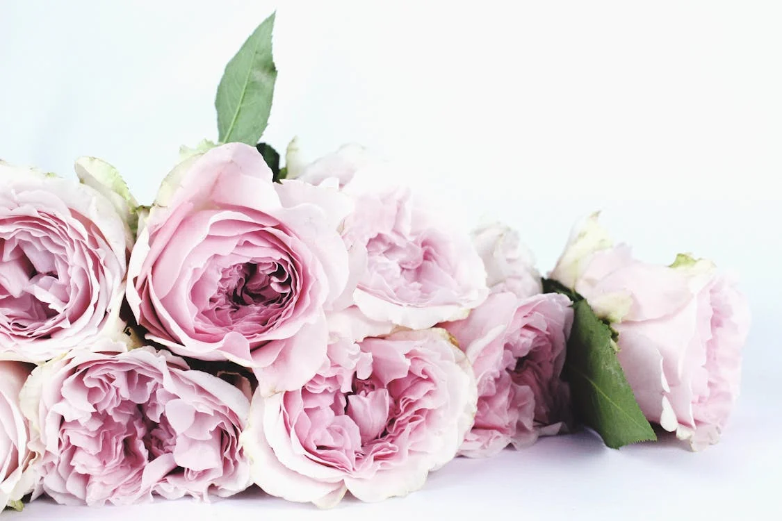 Ghidul florilor pentru 1 și 8 Martie: Ce semnifică fiecare floare?