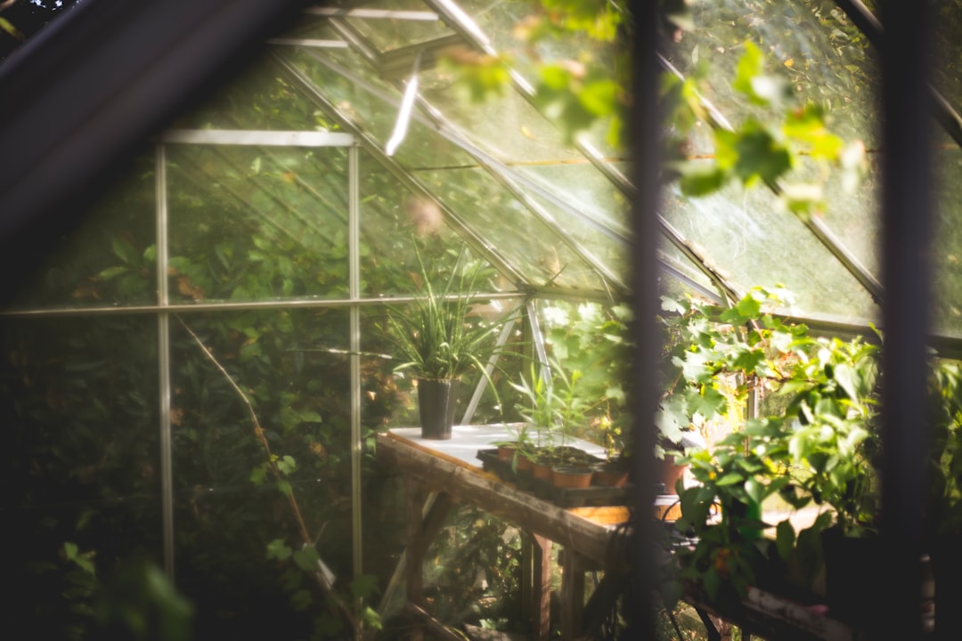 Photo Organic garden bed