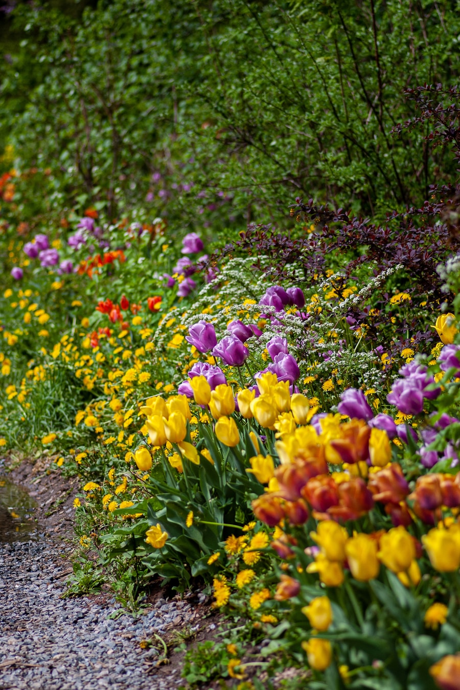 Photo "The art of caring for spring flowers: Tips for a vibrant garden"