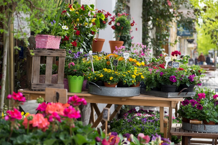 Photo The secrets of a perfect pot: How to choose flowers and plants for your garden