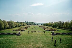 Photo Lush green lawn