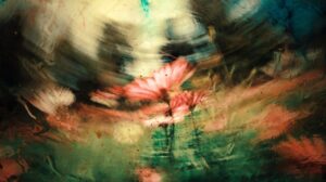 Photo dreams