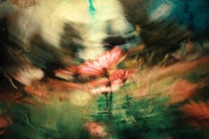 Photo dreams