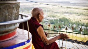 Photo calm and wisdom