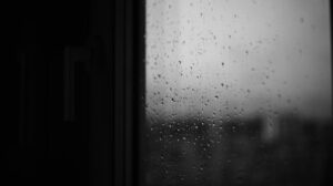Photo dreams about rain