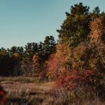 Photo recent changes