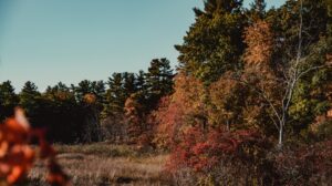 Photo recent changes