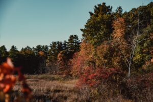 Photo recent changes