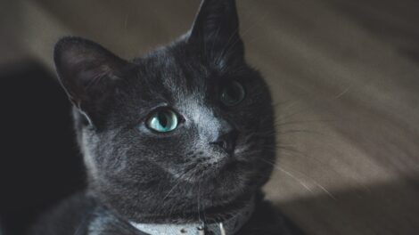 Photo changes
