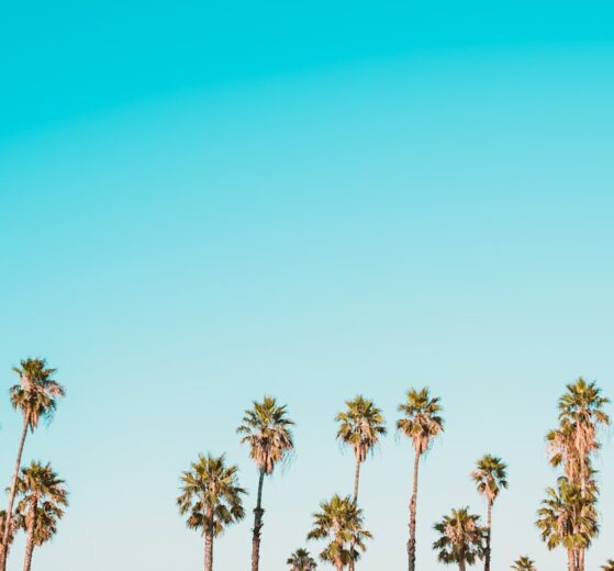 Photo political decision