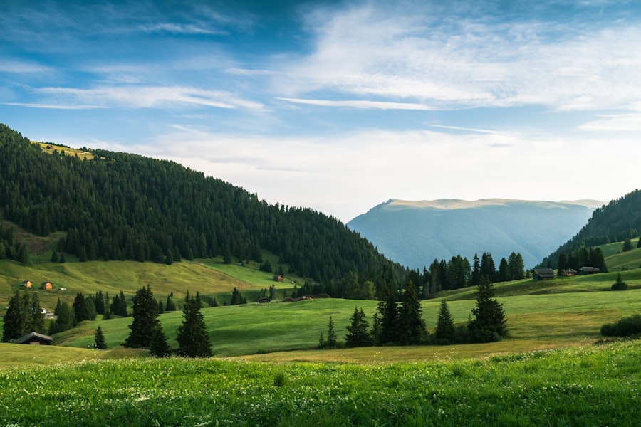 Photo știri