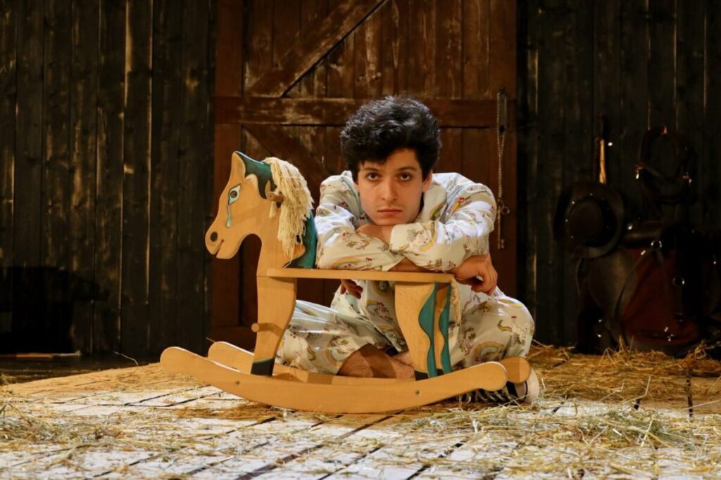 Teatrul Stela Popescu3