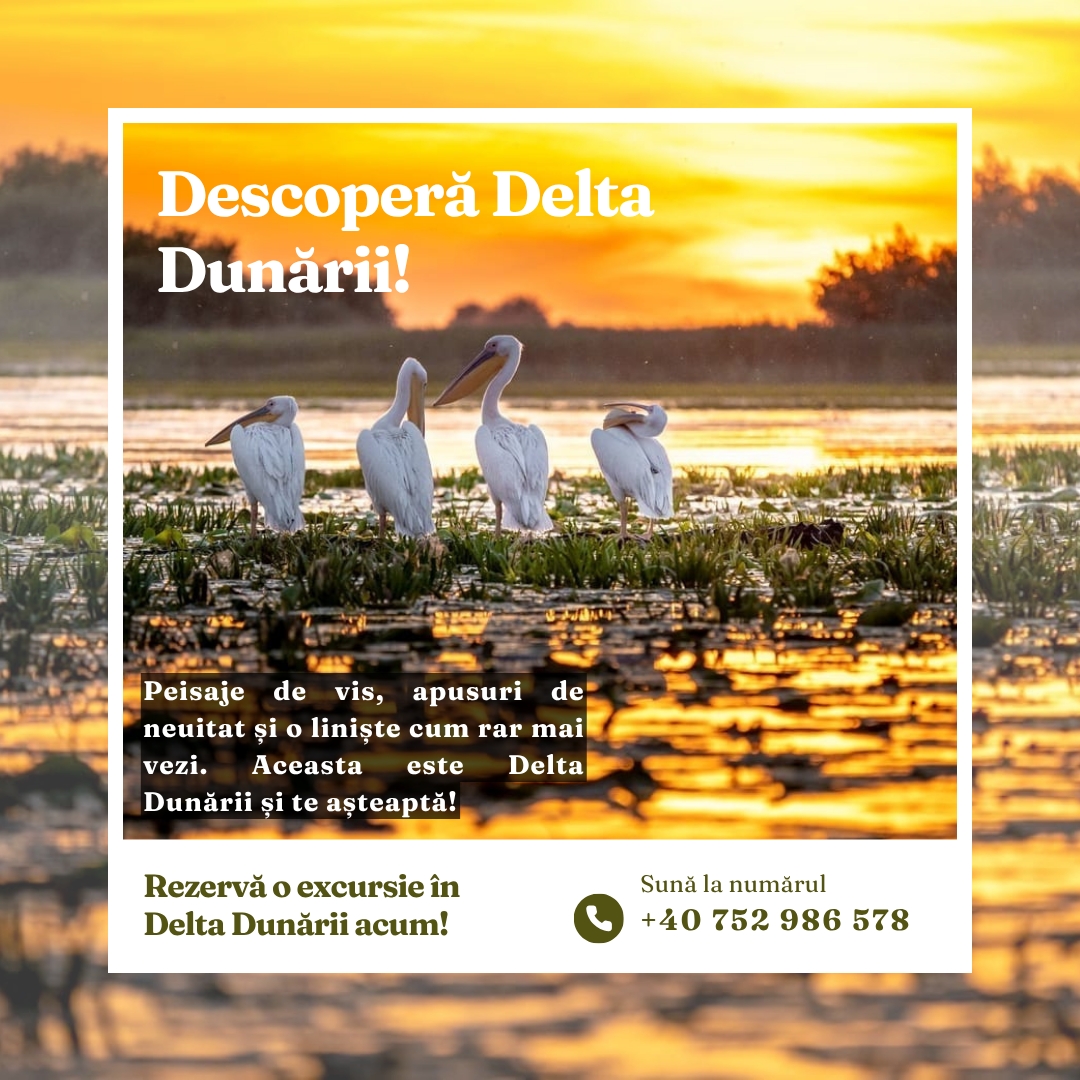 cea-mai-spectaculoasa-echipa-de-excursii-pe-delta-de-weekend-din-romania-isi-schimba-numele-si-vine-cu-o-promisiune.jpg