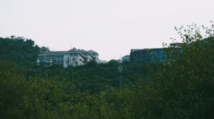 Photo education and research