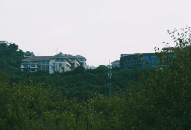 Photo education and research