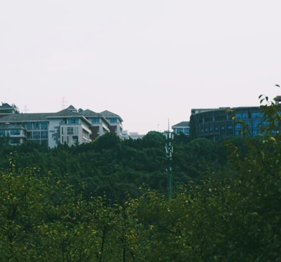 Photo education and research