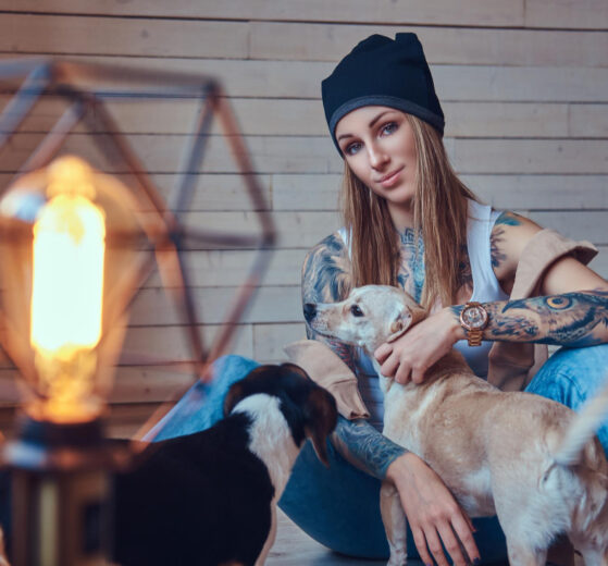 Cum îți dai seama că un pet sitter din București nu e omul potrivit pentru animalul tău