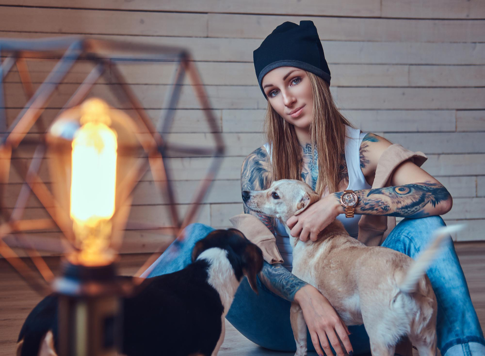 Cum îți dai seama că un pet sitter din București nu e omul potrivit pentru animalul tău