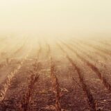 Cum afectează vremea instabilă din septembrie agricultura românească — Stirea Zilei