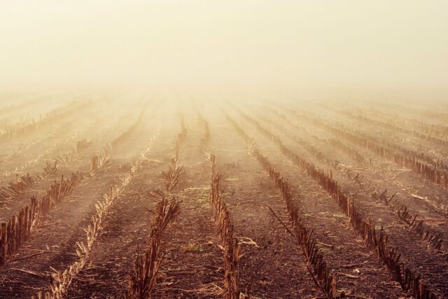 Cum afectează vremea instabilă din septembrie agricultura românească — Stirea Zilei