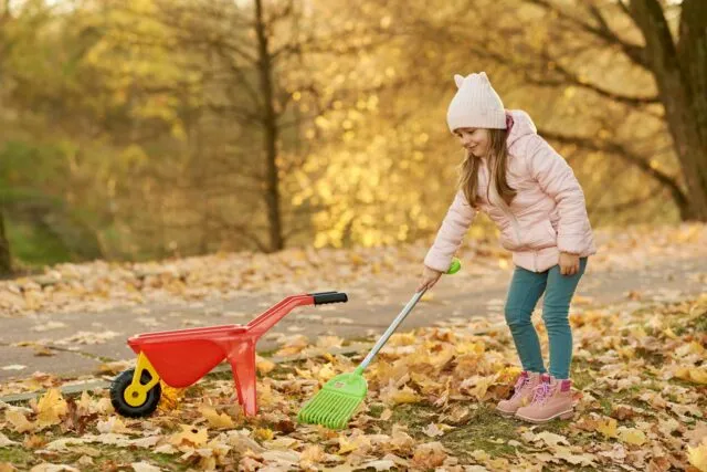 Cum pregatesti gradina pentru sezonul rece: ultimele lucrari de toamna