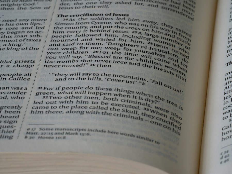 Photo read terms and conditions
