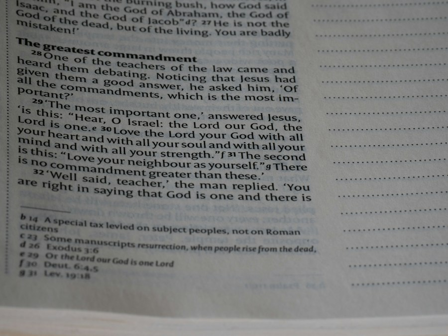 read terms and conditions
