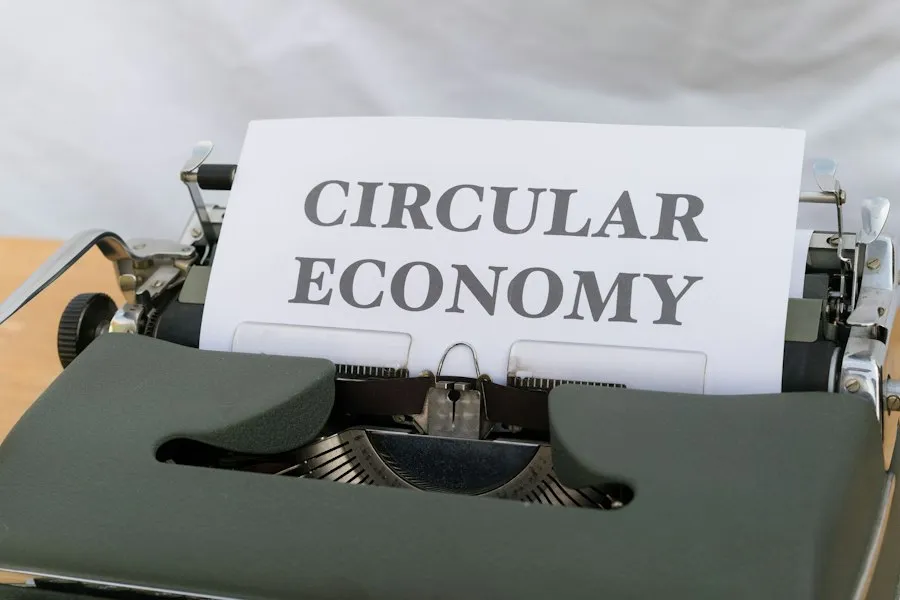economy basics infographic