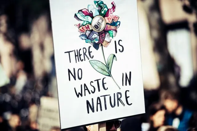 Photo environmental awareness infographic