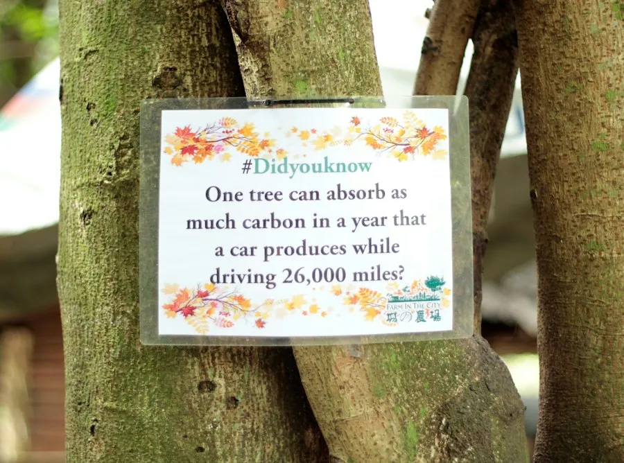 Photo environmental awareness infographic