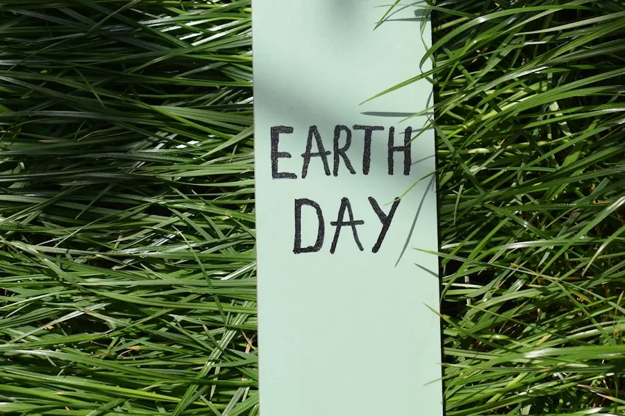 environmental awareness infographic