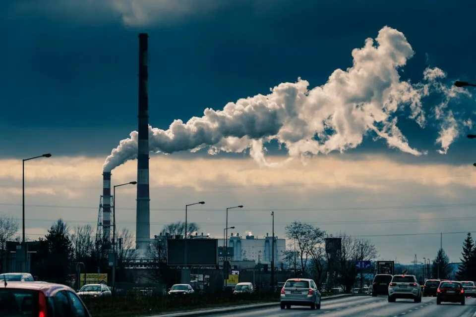 Photo common environmental mistakes