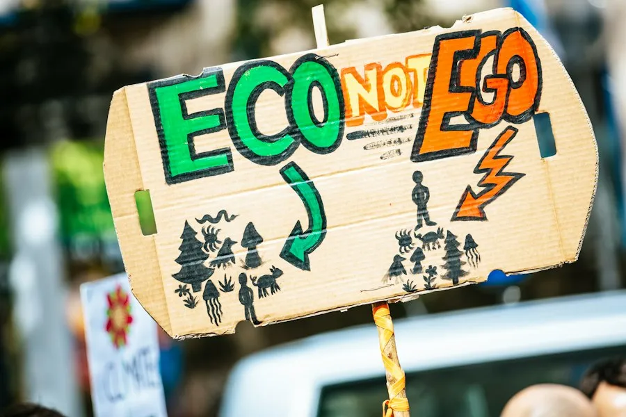 Photo common environmental mistakes